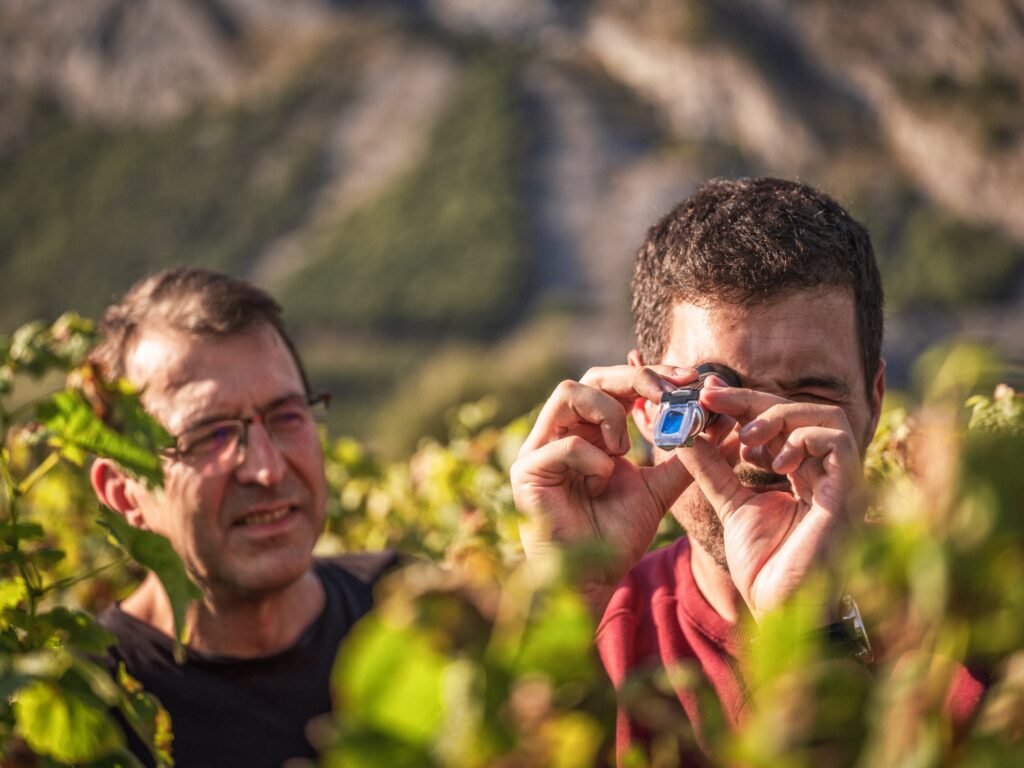 0776_cave_du_d_carre_dsf9655-c-david-bochud_web Cave du d carré - fils et père Dillier - Luc Dillier vin
